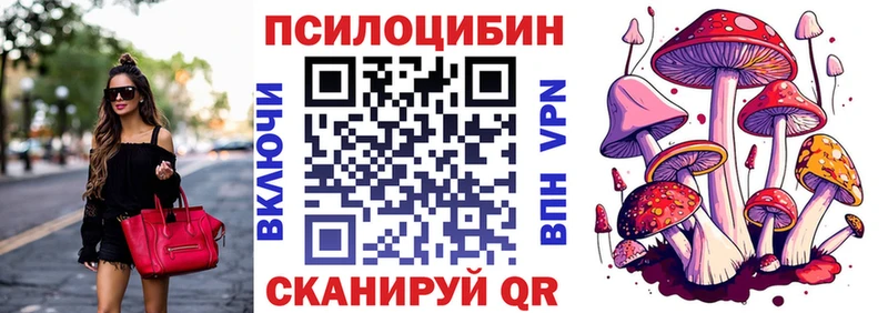 Галлюциногенные грибы Psilocybine cubensis  купить  сайты  Буй 